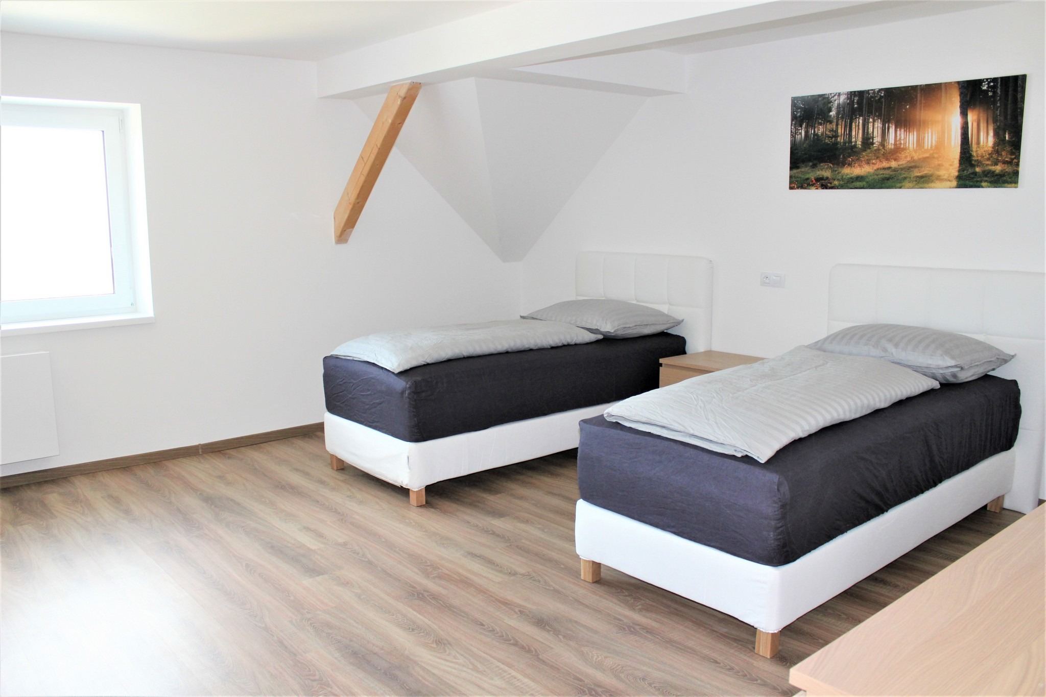 Podkrovní pokoj se dvěma samostatnými lůžky