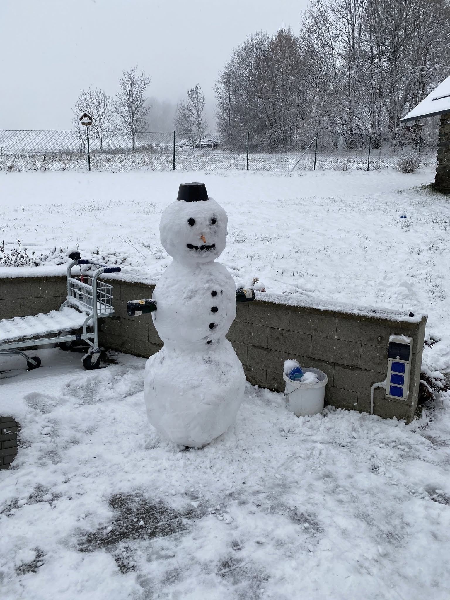 Sněhulák na zahradě